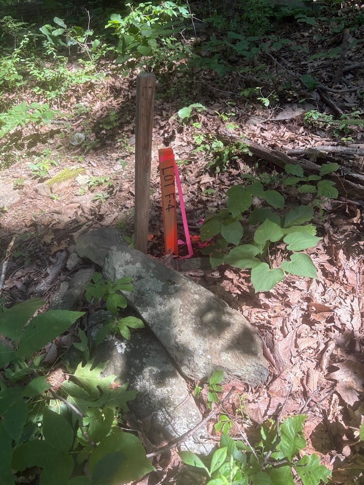 Valley Surveying