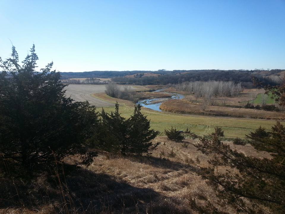 Benzing Surveying