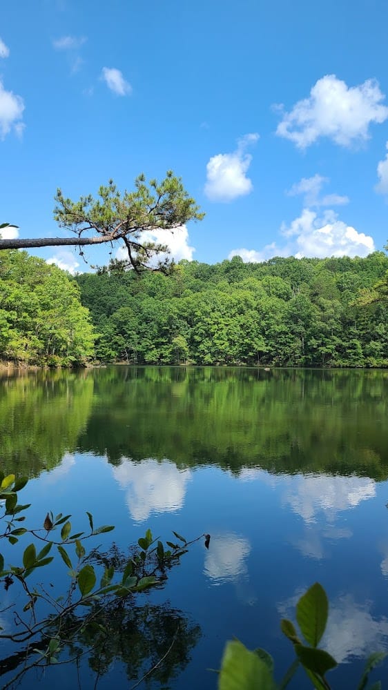 LAND PRO LLC (Surveying)