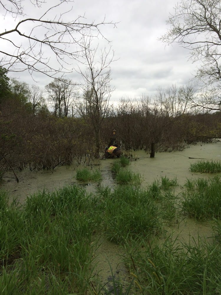 Otto Land Surveying