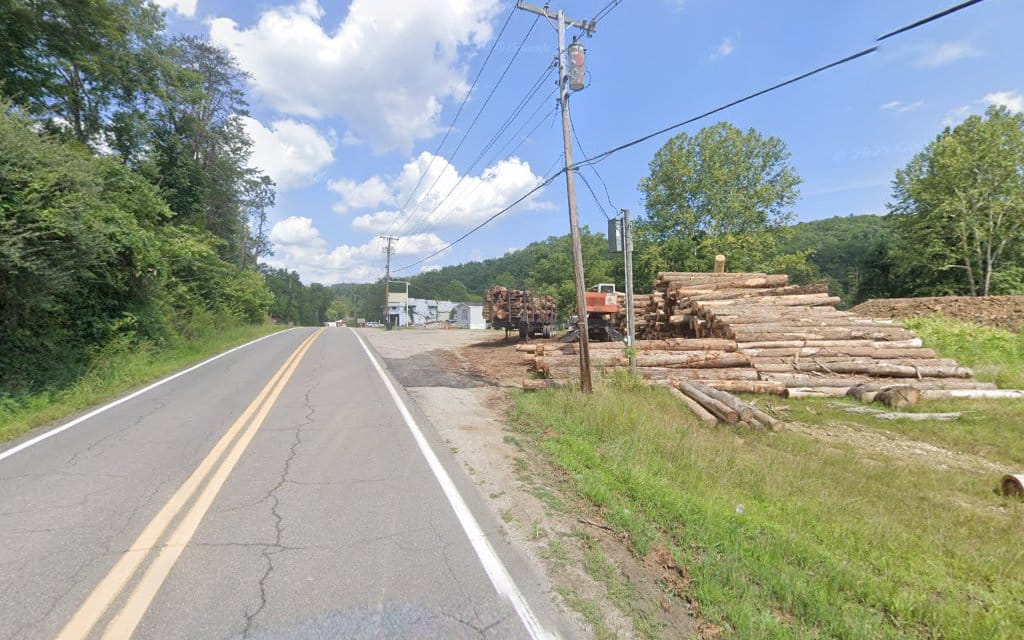 Alleghany Surveys Inc