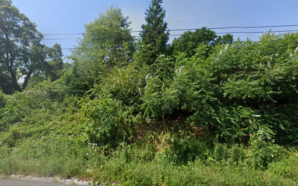 Finger Lakes Land Surveying Pc