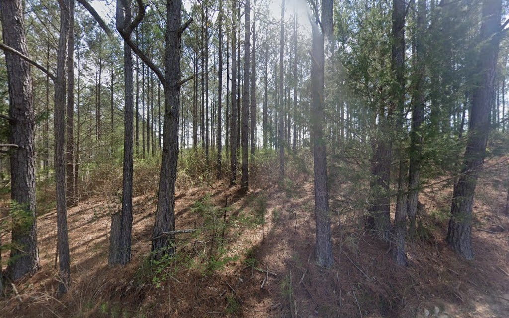 Walker Land Surveying