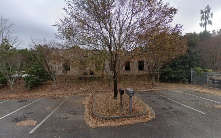 3D Laser Surveys