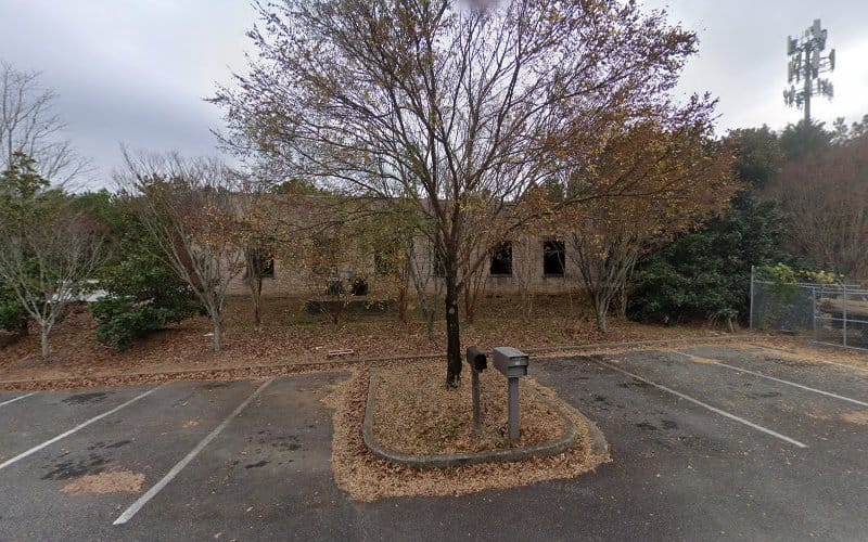 3D Laser Surveys