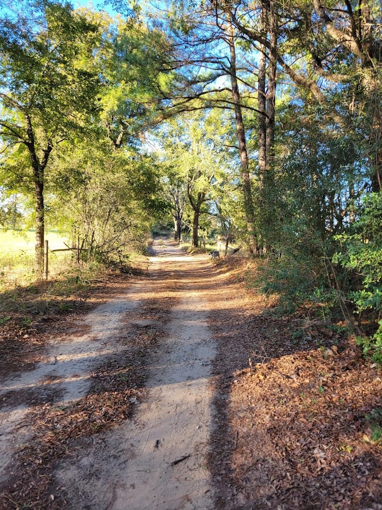 Wisnoski Land Surveying LLC