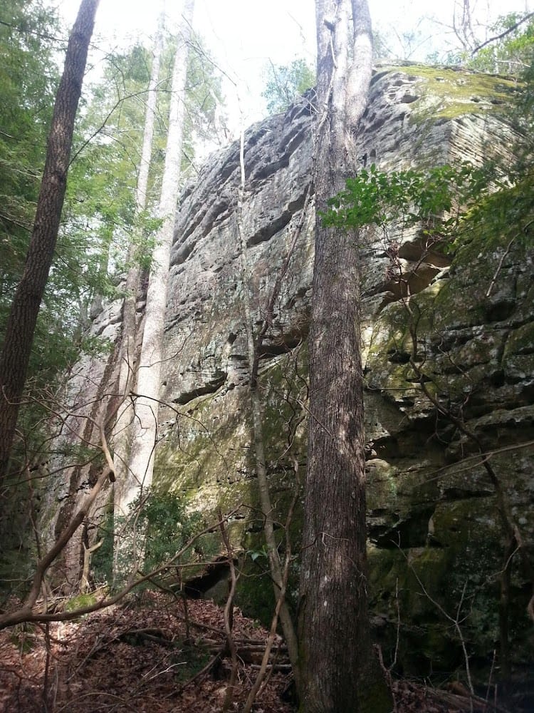 Tellico Land Surveying
