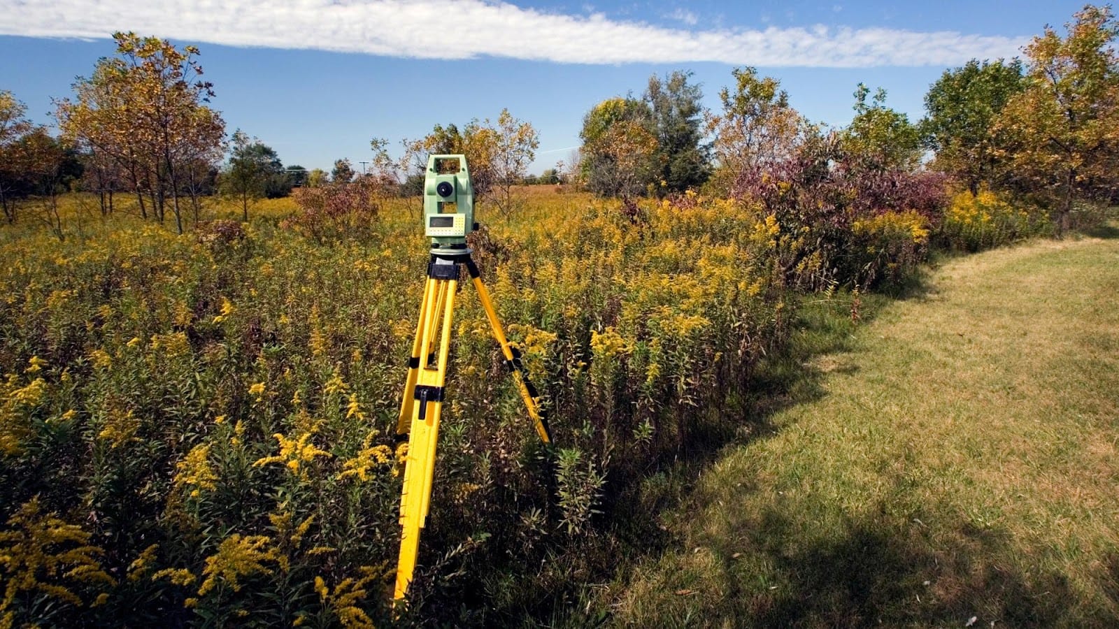 Star Surveying