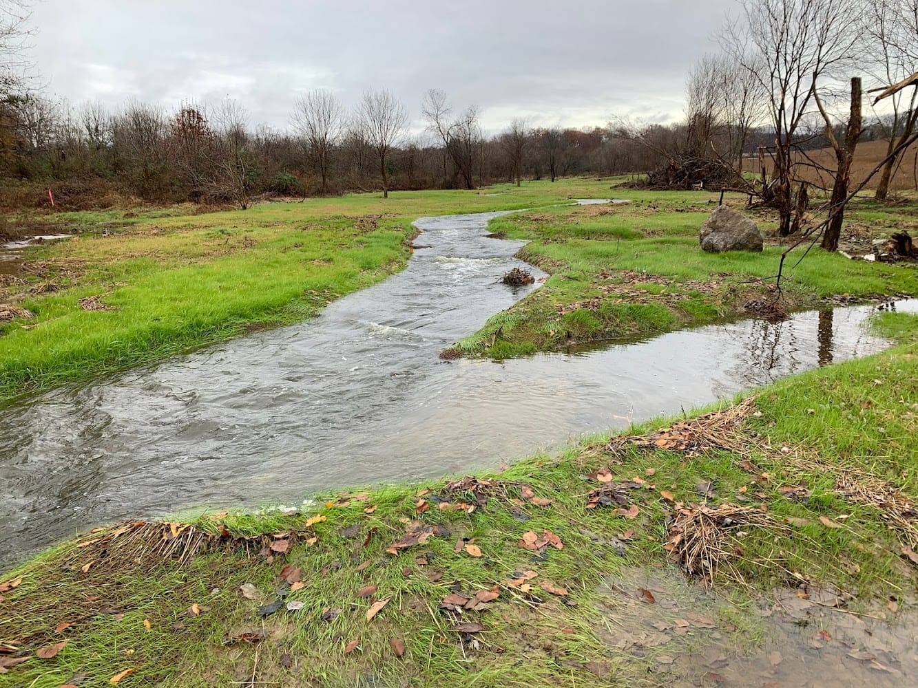 Wetland Studies and Solutions