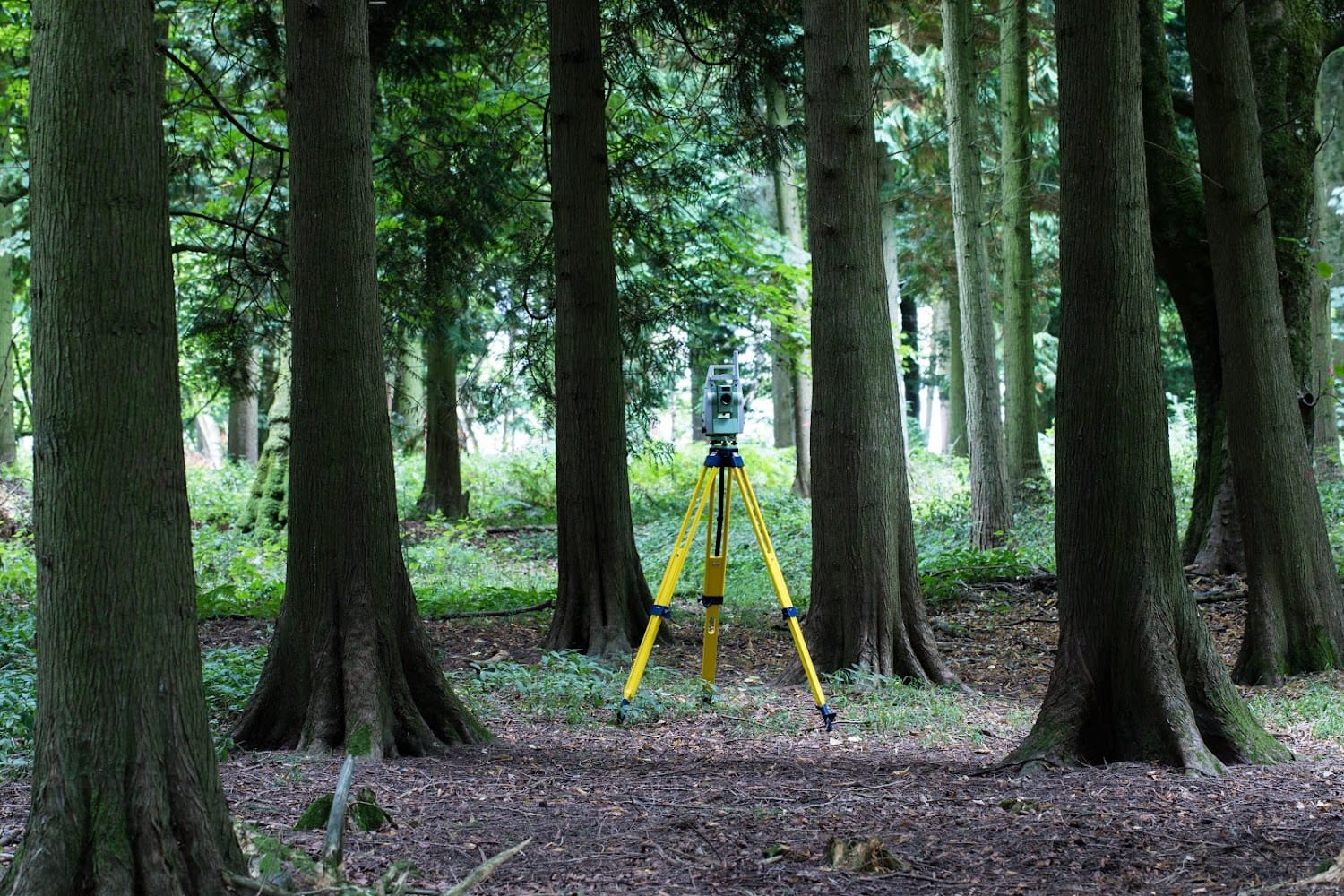 Adtech Surveying