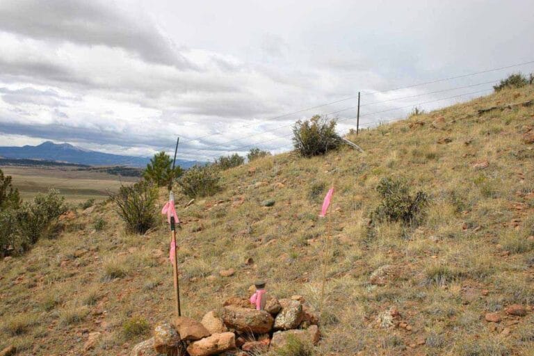 Pinnacle Land Surveying Co