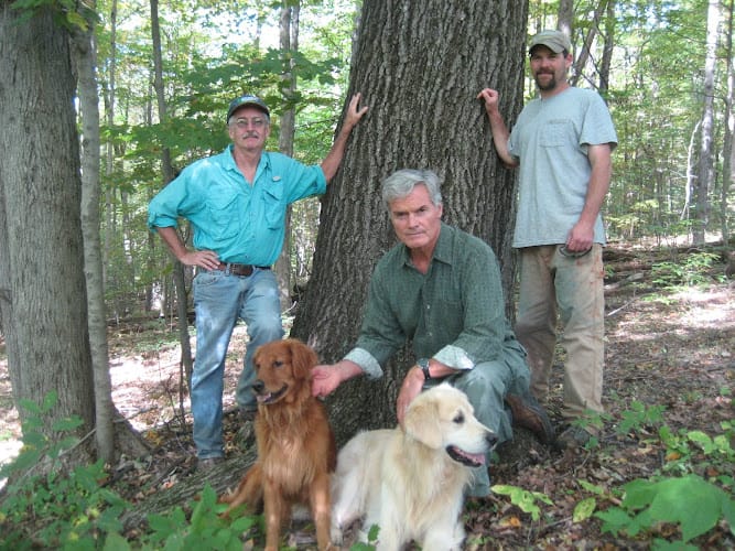 Edward A. Denham - New England Woodland Management