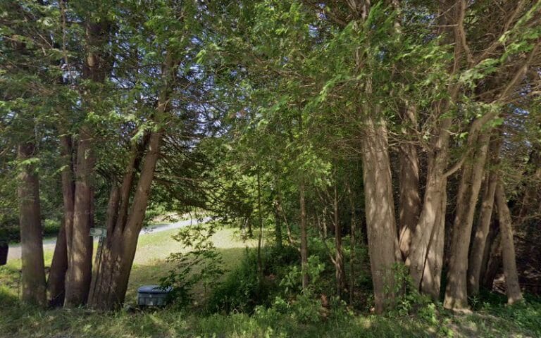 Hardt Forestry