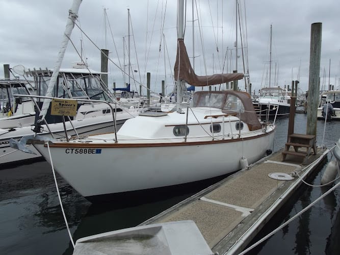 Hayes Marine Surveyors