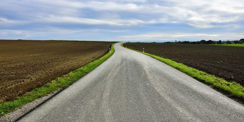 Surveying Road To AI